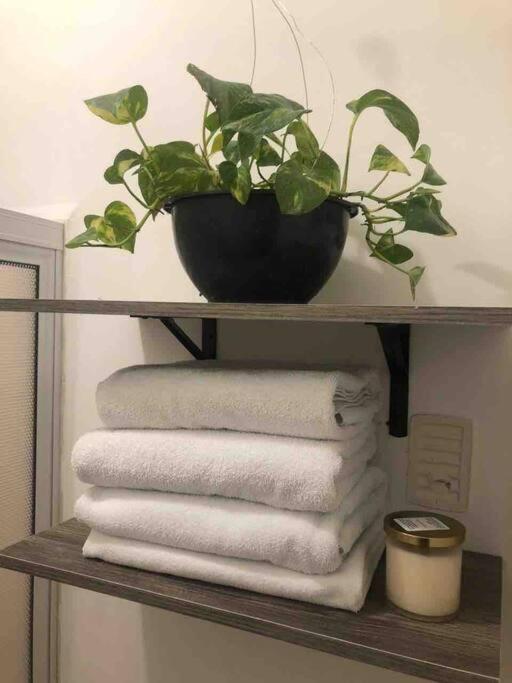 Comfortable And Private House 2 Bedrooms Wifi Parking Free Monterrey Zewnętrze zdjęcie